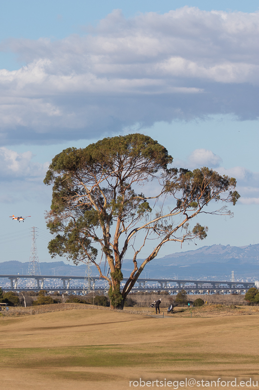 geng road, palo alto baylands